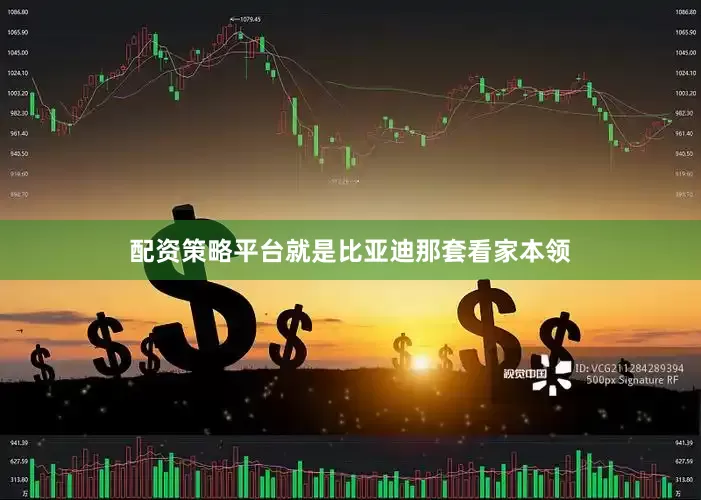 配资策略平台就是比亚迪那套看家本领